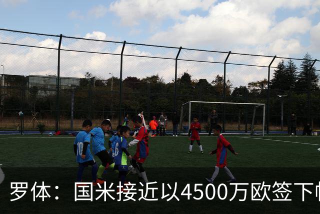 罗体：国米接近以4500万欧签下帕莱斯特拉，球员年薪约300万欧